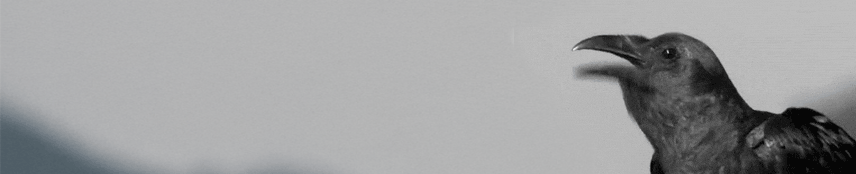 87900762-bead-440d-94bb-e658f7ba4e91-2487783.gif