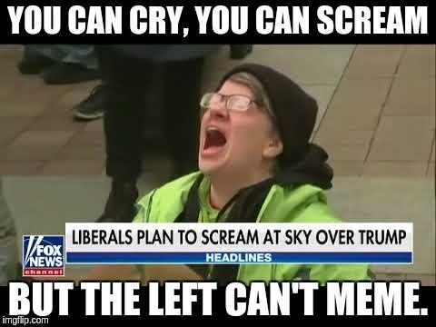The 2020 meme season begins - Perspectives